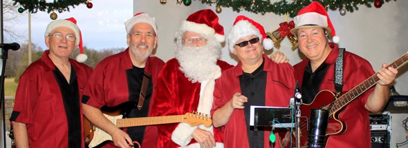 The Sting Rays Band